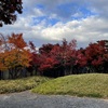 長野 小布施周辺 紅葉の様子1