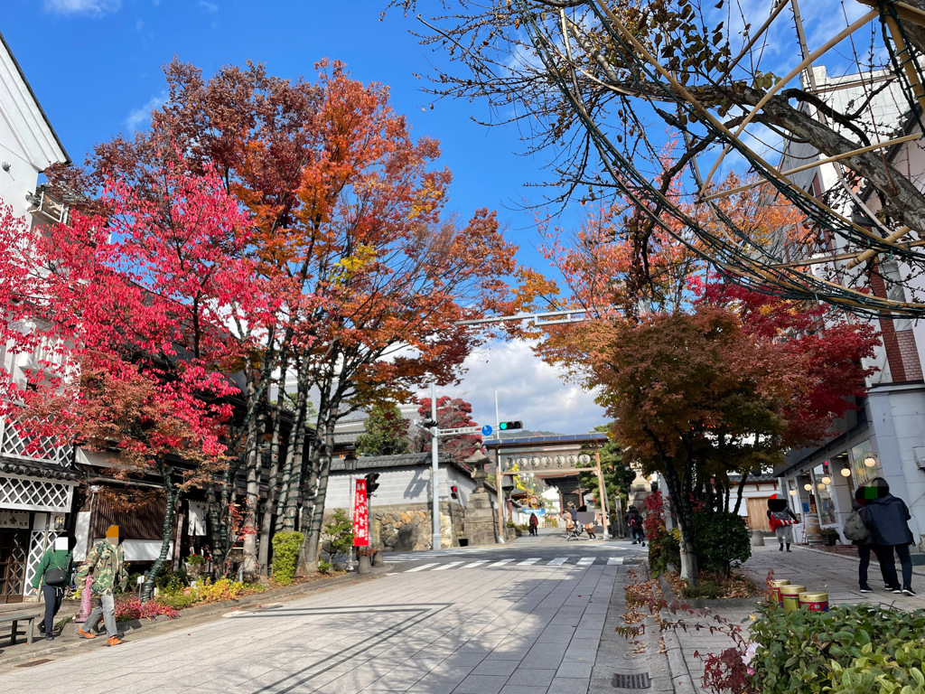 2022年11月撮影 善光寺表参道 紅葉の様子