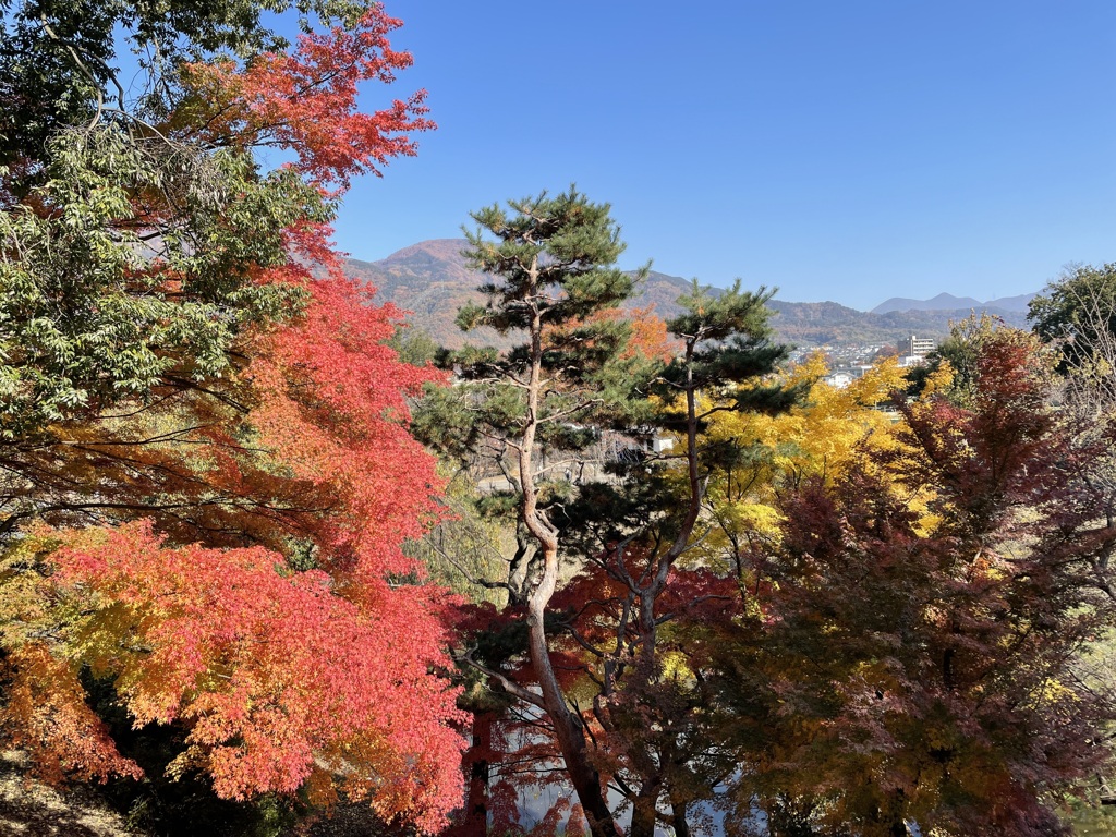 上田城跡公園の紅葉の様子16