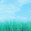 空０２