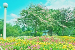 風景　03