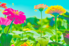 花　５７