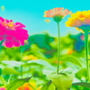 花　５７