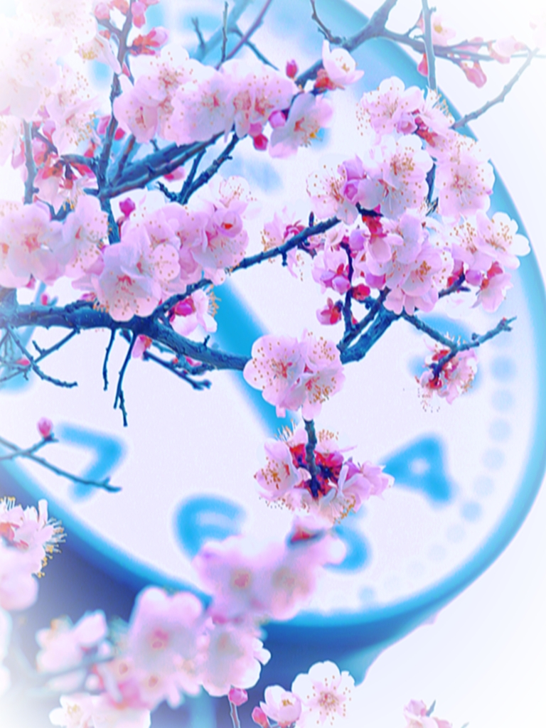 花　38