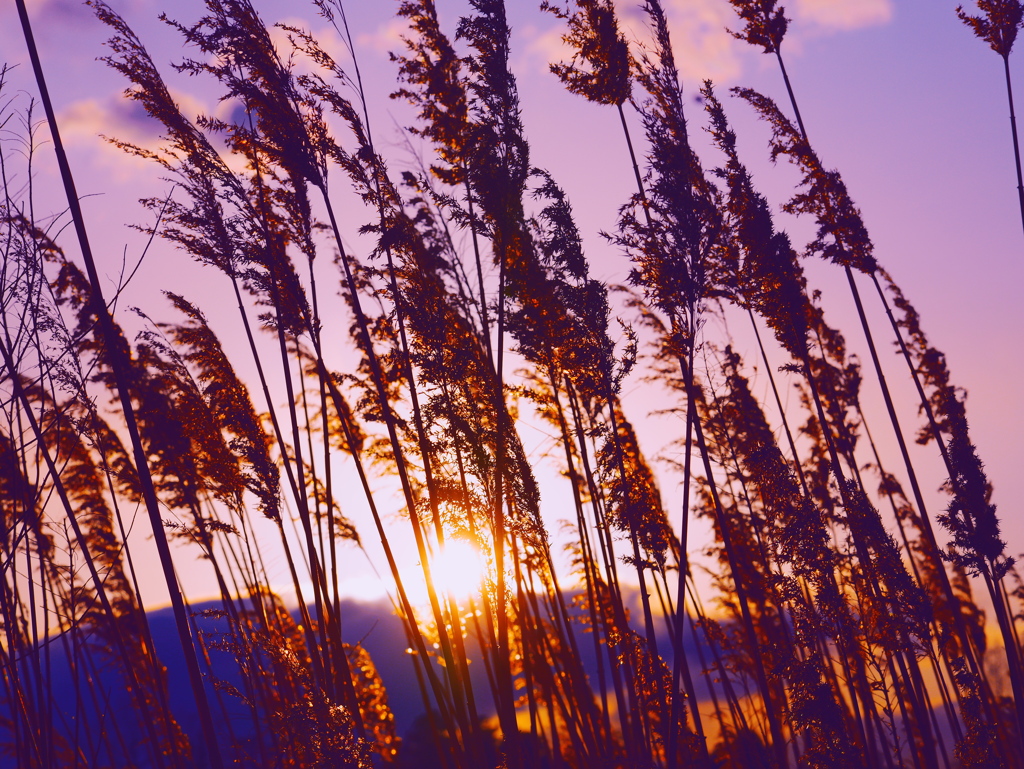 夕焼け　２