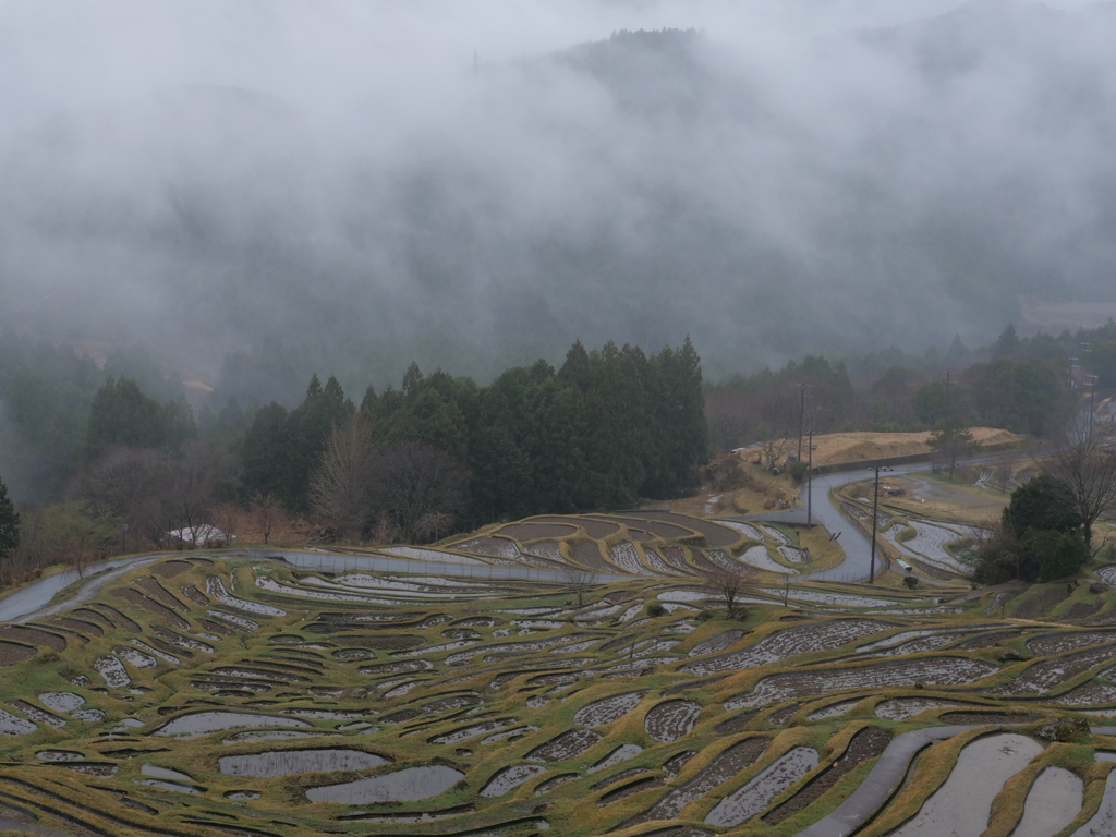 素晴らしい棚田。