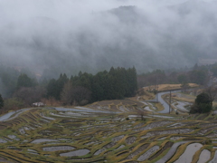 素晴らしい棚田。