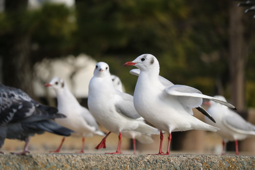 さて、行こうか。