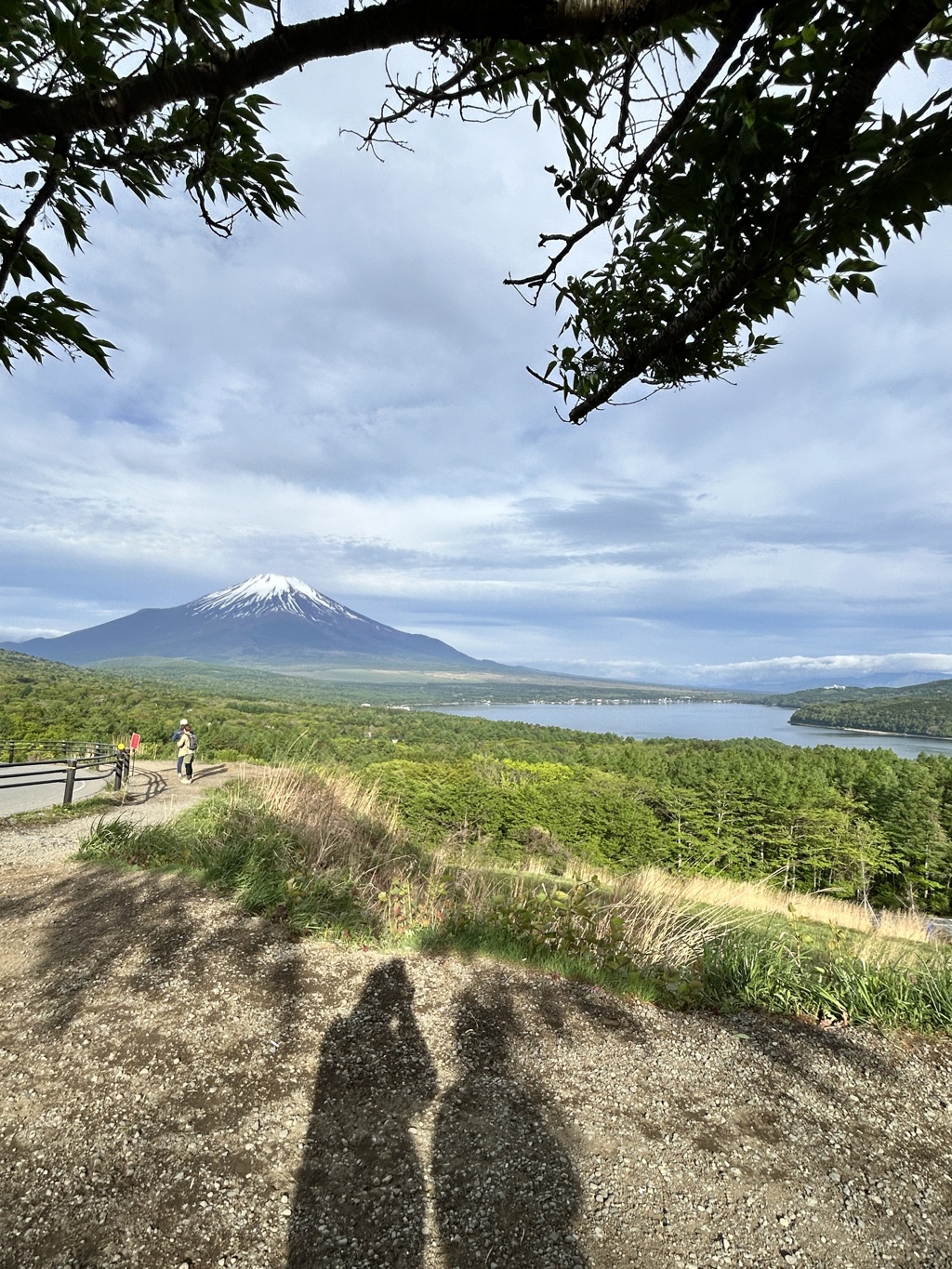 2024_5月の山中湖パノラマ台