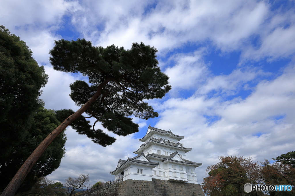 小田原城①