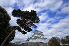 小田原城①