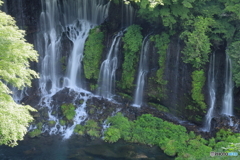 白糸の滝②