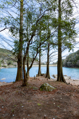 湖のあるキャンプ場
