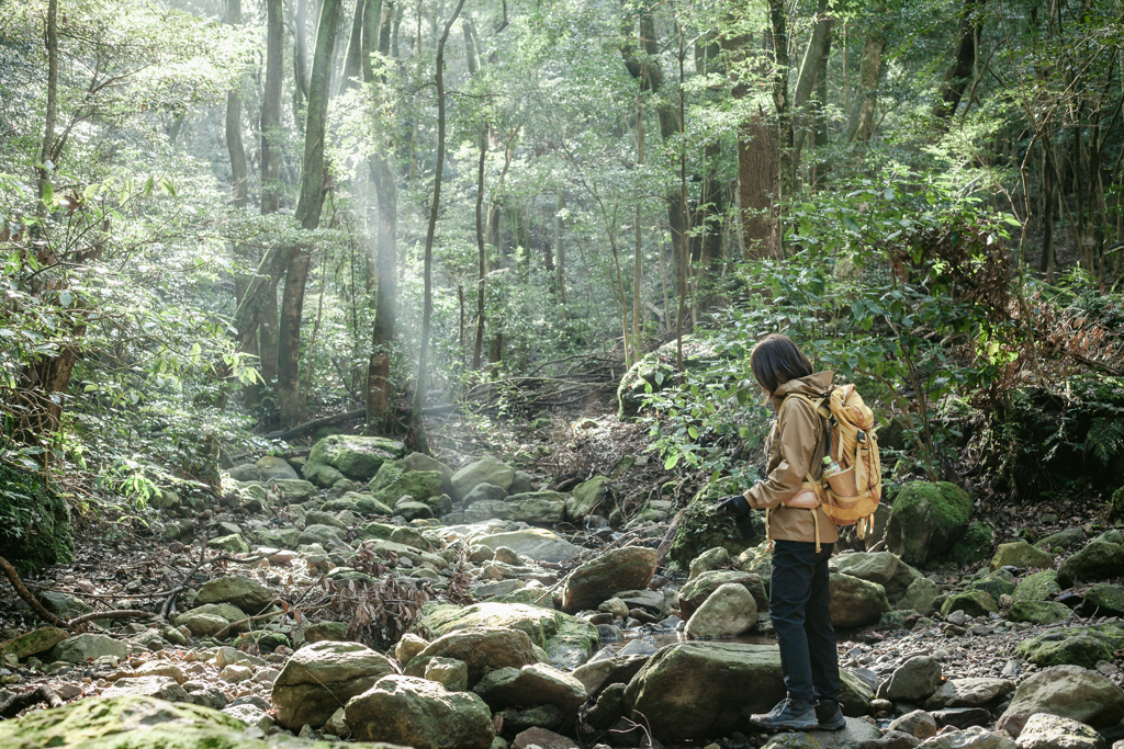 春の登山