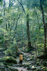 春の登山