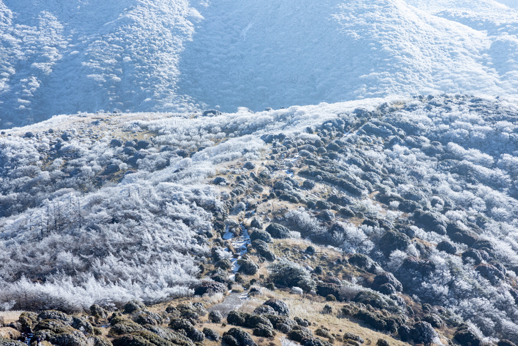 くじゅう登山