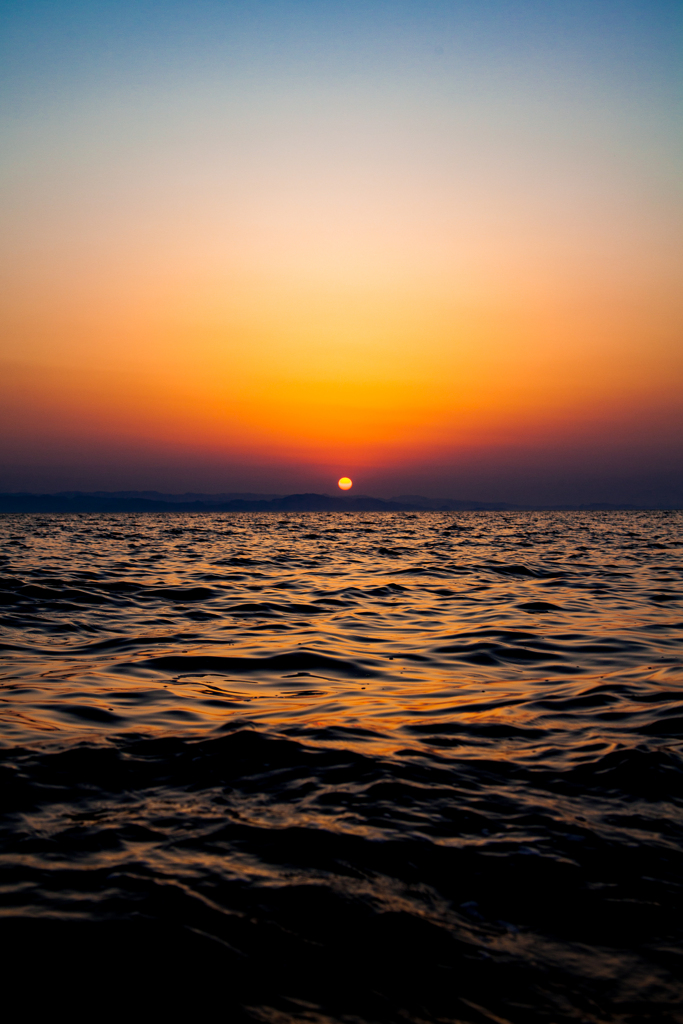 夕活
