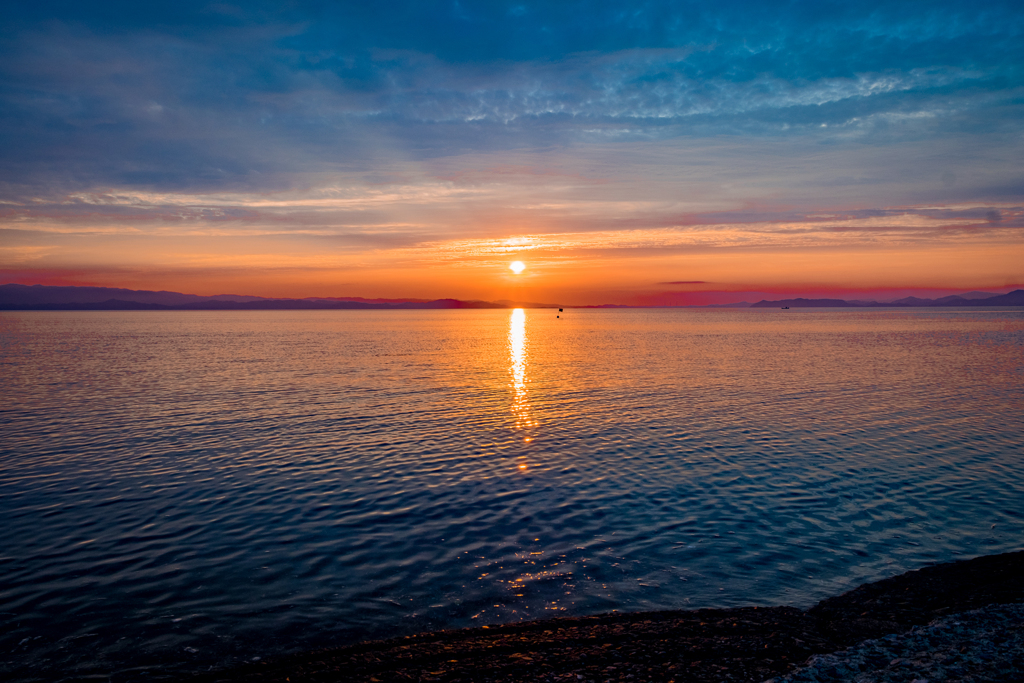 夕活