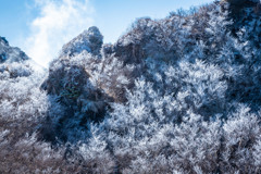 普賢岳霧氷