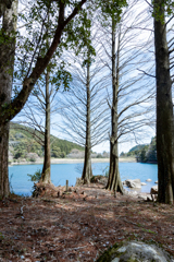 湖のあるキャンプ場