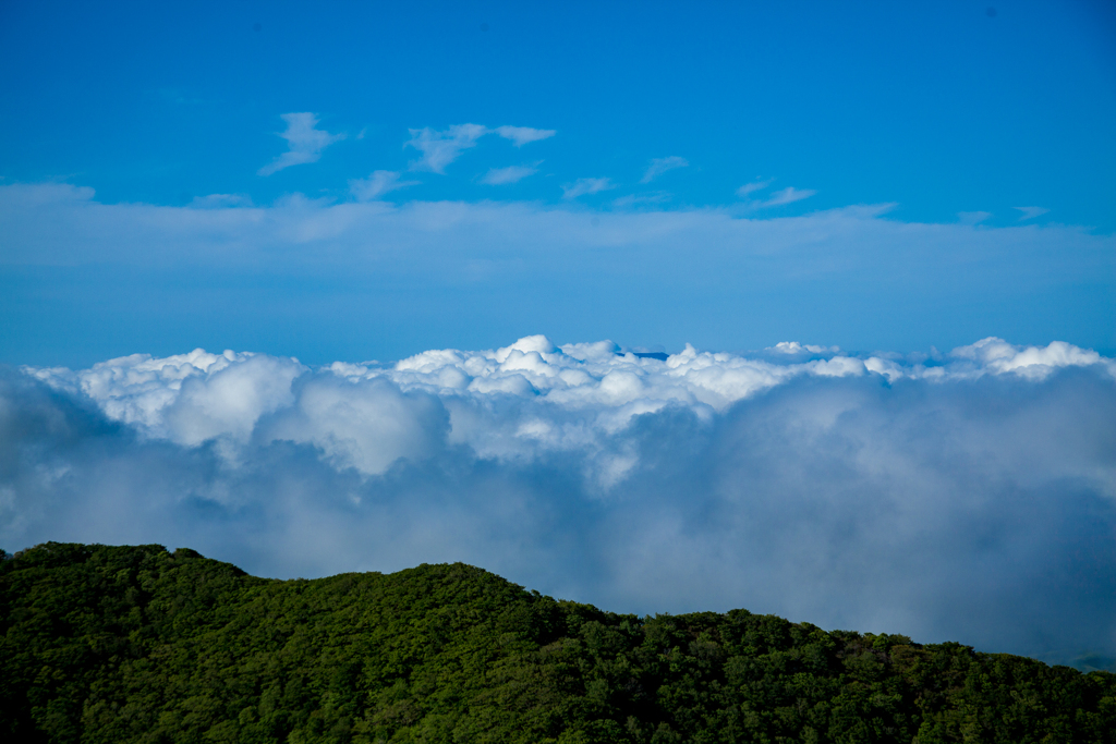 くじゅう登山