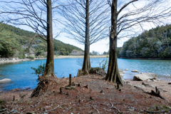 湖のあるキャンプ場