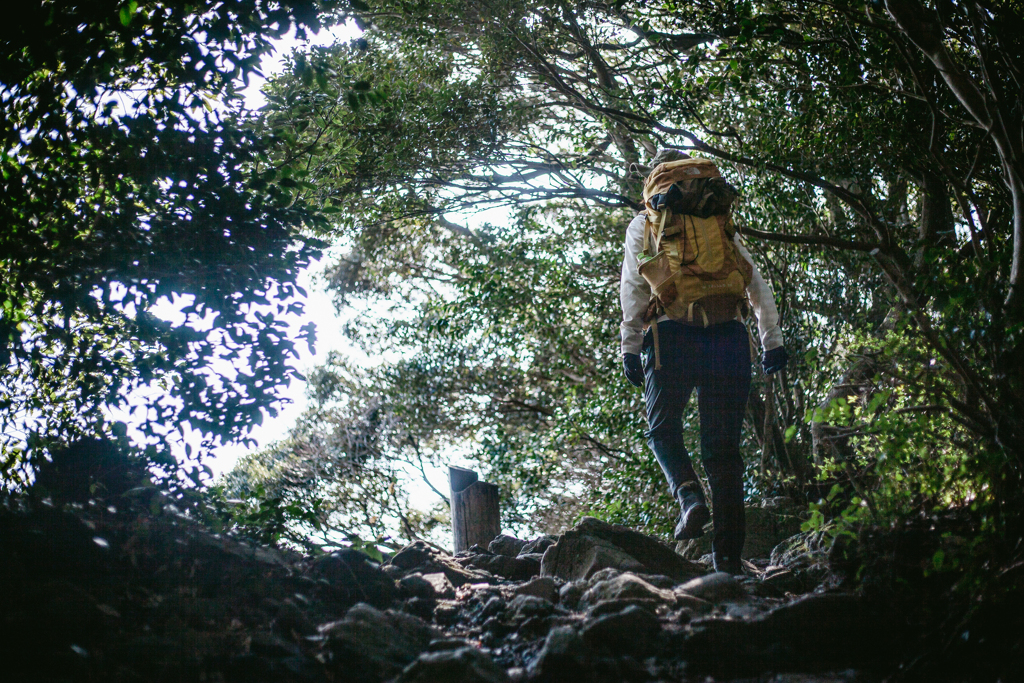 春の登山