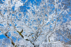 _MG_0551-2