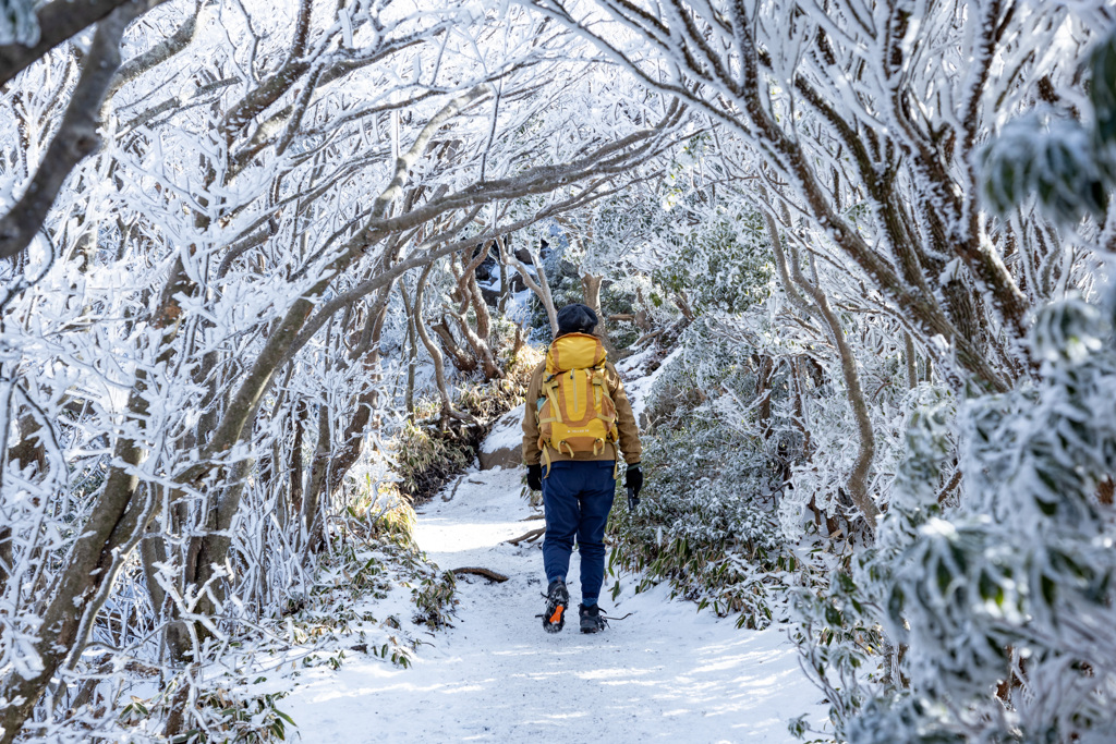 くじゅう登山