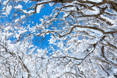 _MG_0280-2