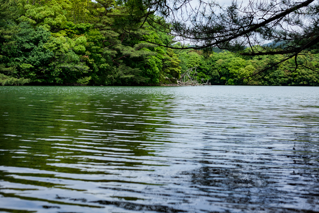 湖のあるCAMP