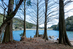 湖のあるキャンプ場