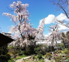 仙台市　中島丁公園