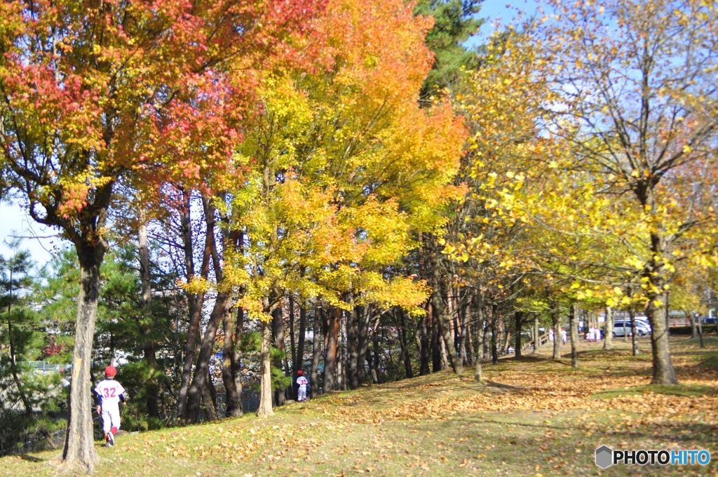 桜ヶ丘公園　宮城学院女子大学前