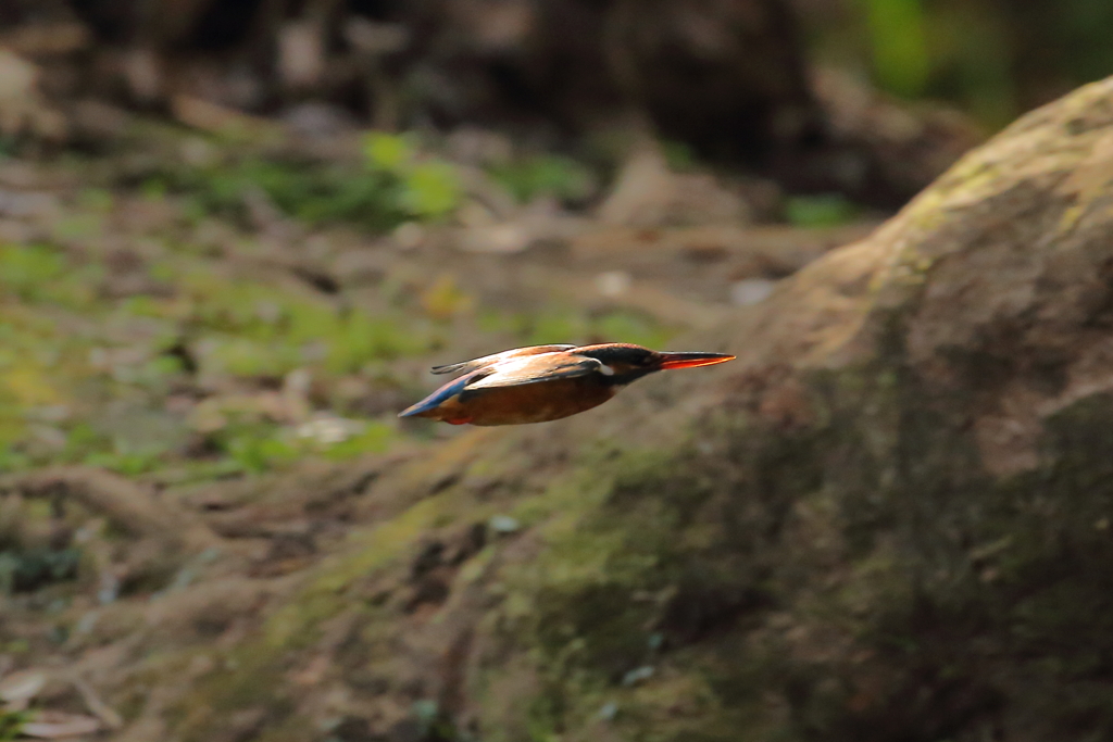 Flyby →
