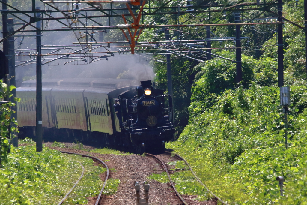 100歳Run1