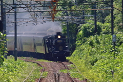 100歳Run1