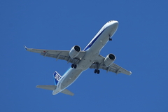 夏空アプローチ２