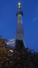 Solamachi