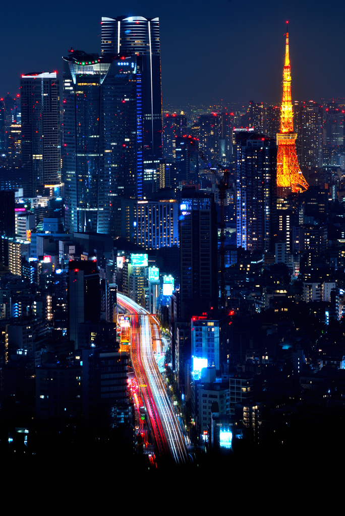 東京の夜景 東京タワーを添えて