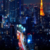 東京の夜景 東京タワーを添えて