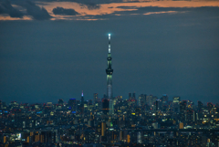 東京の夜景にそびえ立つスカイツリー