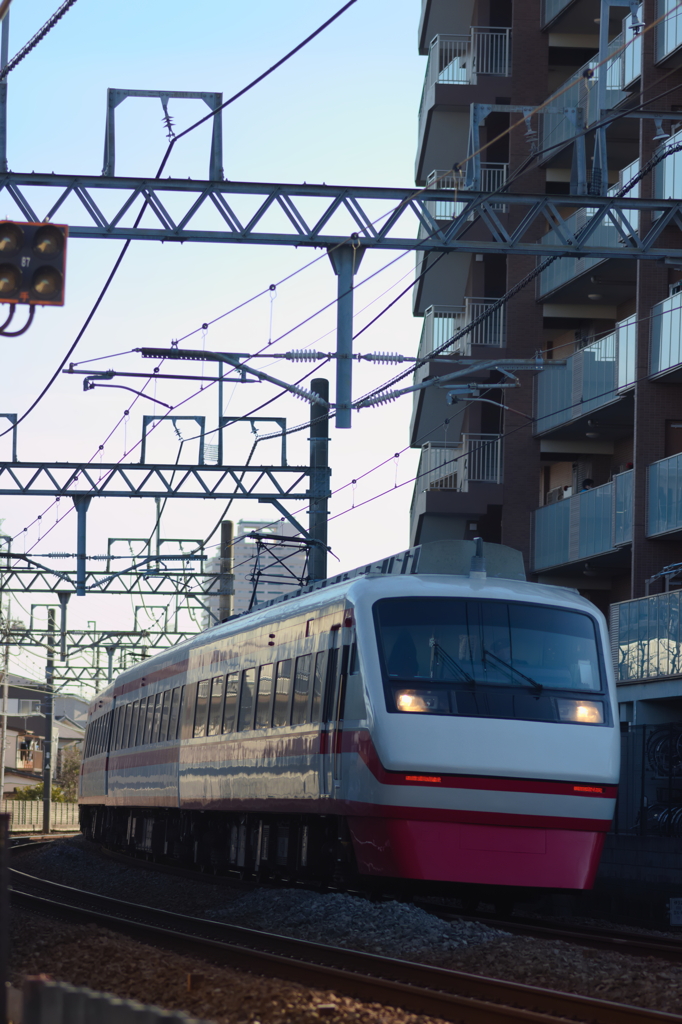 マクロレンズでも・・・・