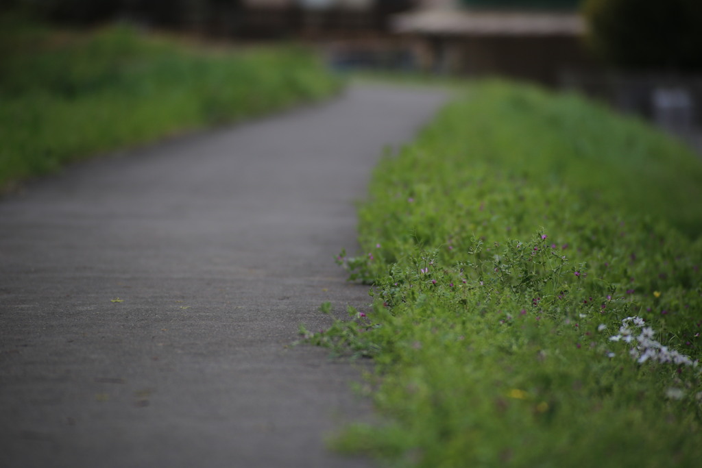 道