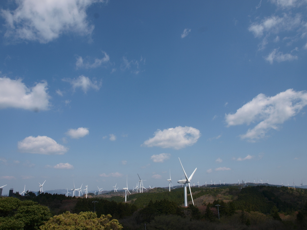 青山高原の景色3