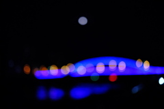 夜の橋