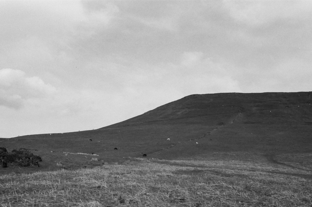 ウェールズの山