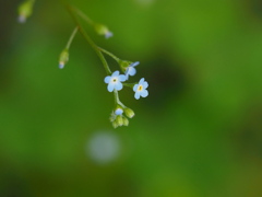 小さすぎて