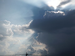 雨の後