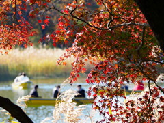 それぞれの紅葉狩り